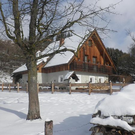 Ferienhaus "Zur Alten Schmiede" Mariahof Kültér fotó