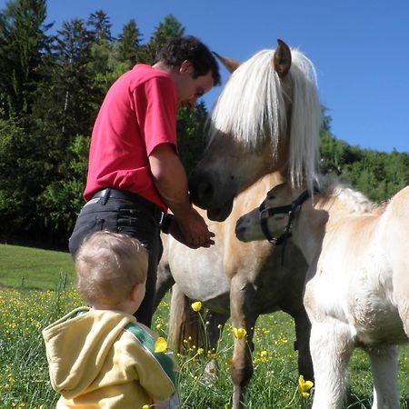 Ferienhaus "Zur Alten Schmiede" Mariahof Kültér fotó