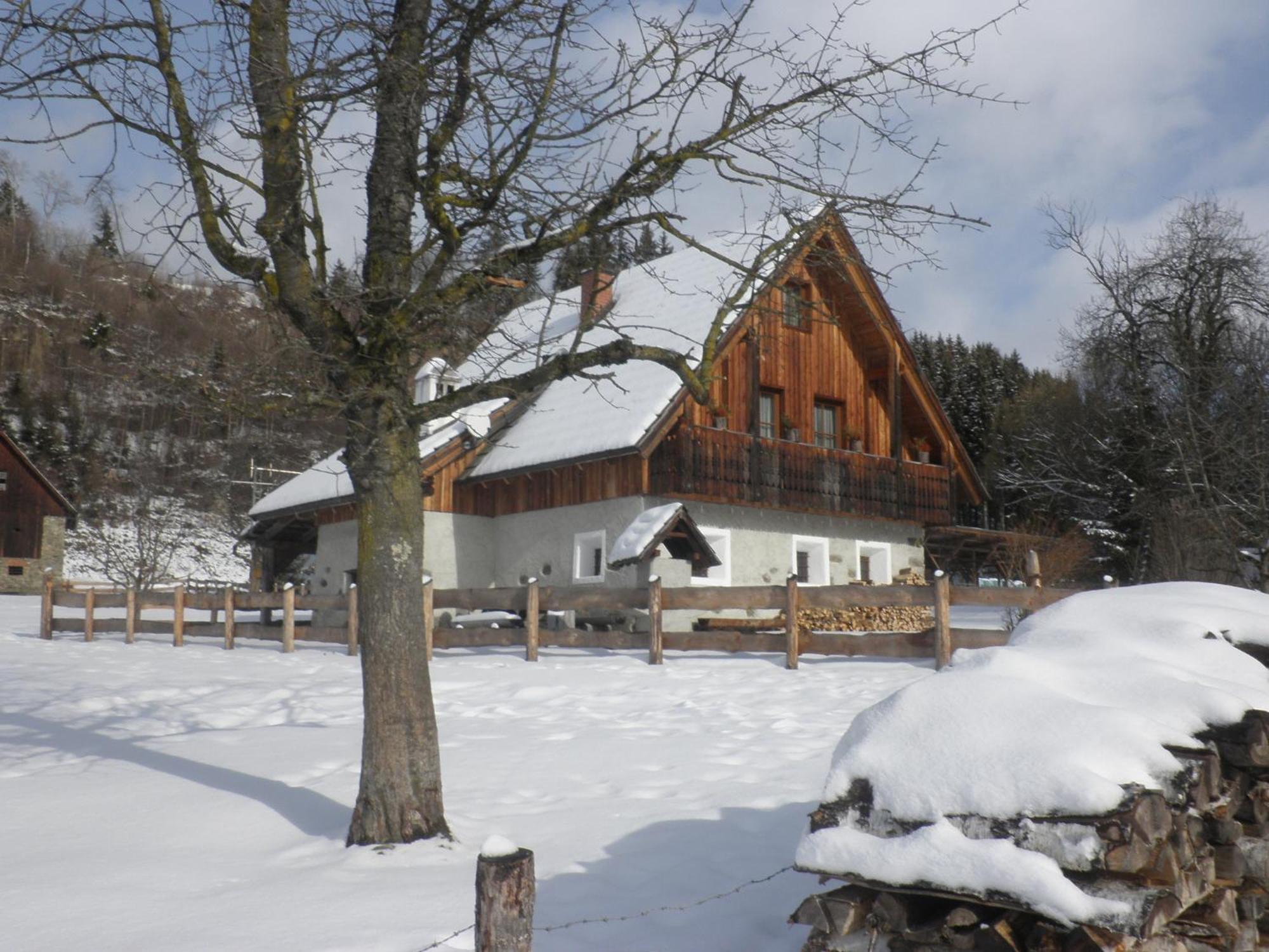 Ferienhaus "Zur Alten Schmiede" Mariahof Kültér fotó